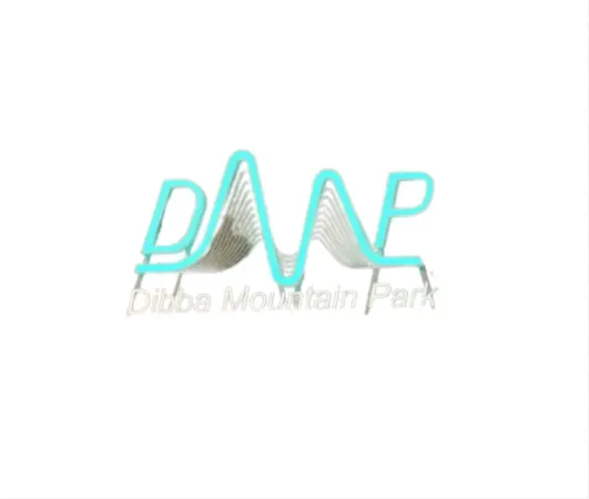 pmo trusted by Logical Network Solutions Dubai