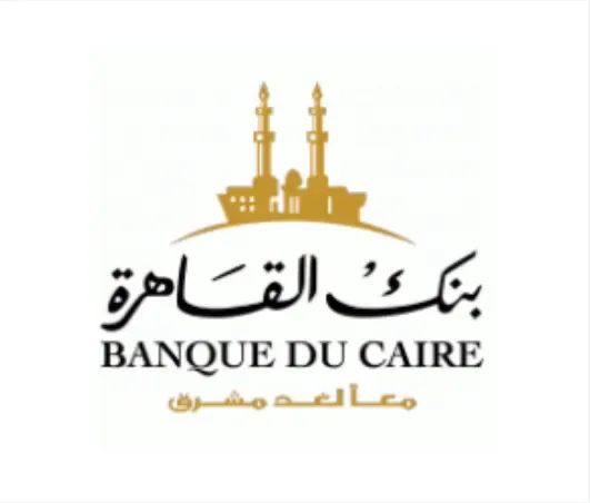 banque du caire Logical Network Solutions Dubai