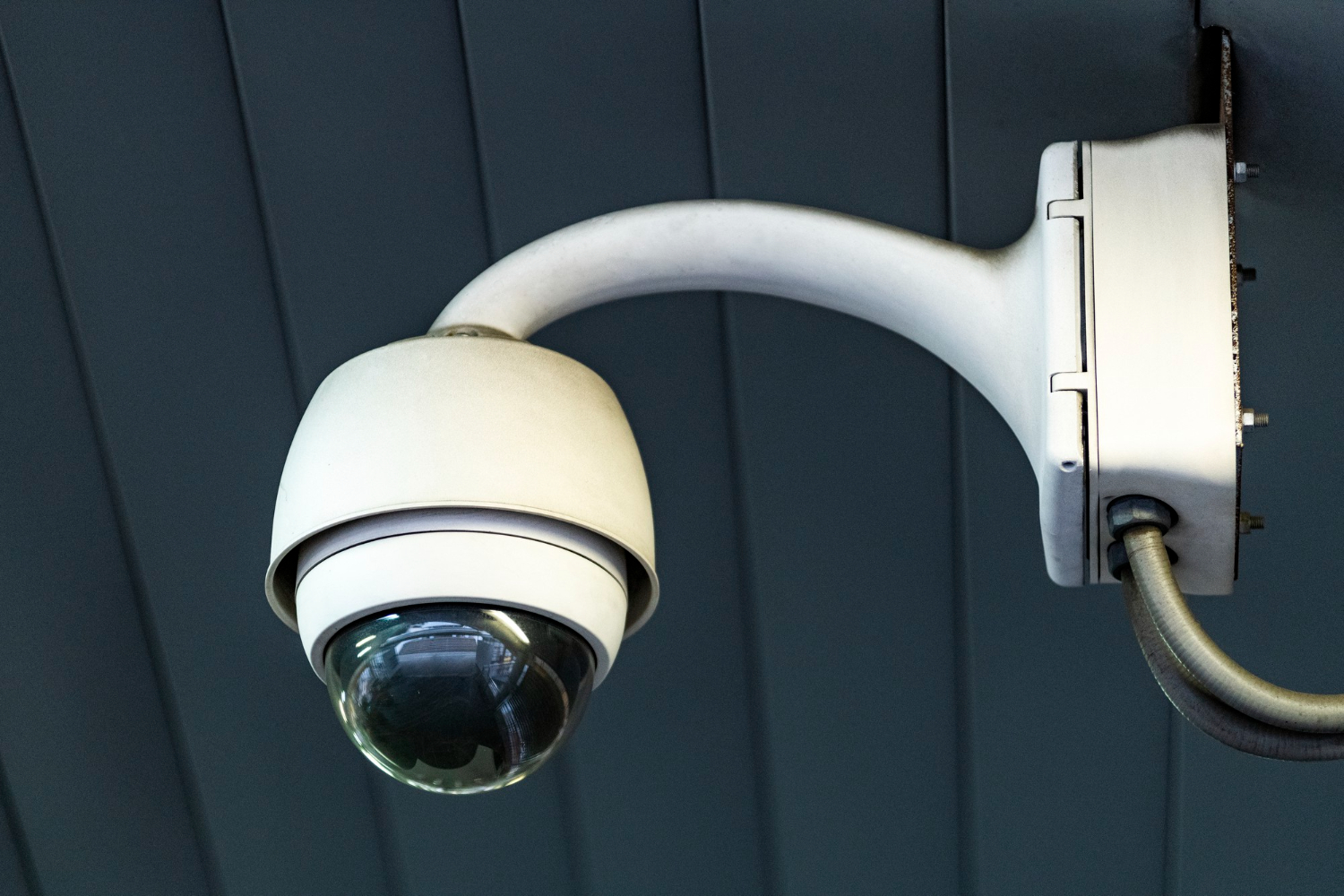 IP CCTV